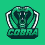Profile picture of MrCobra
